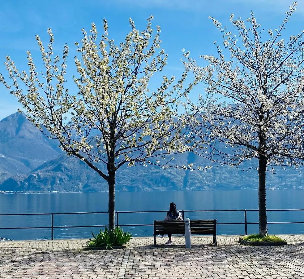 Brother'S Como Lake Suite Acquaseria